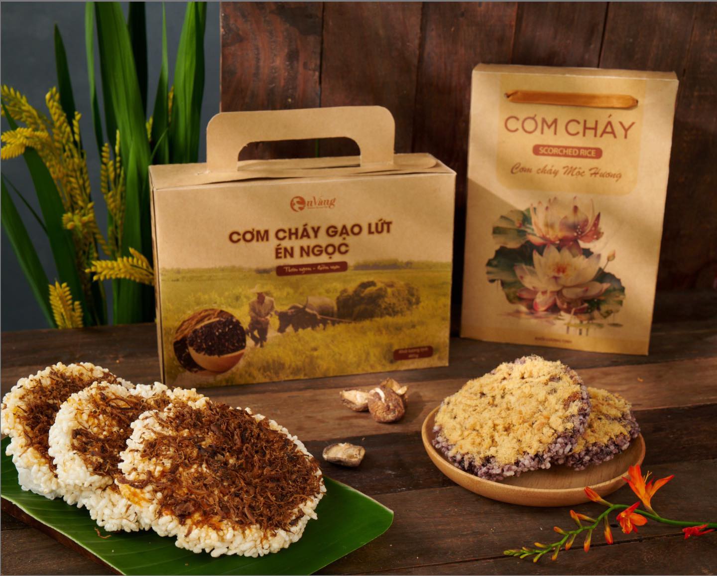Trồng rau thủy canh lãi bạc triệu mỗi ngày 5 com chay en vang 23